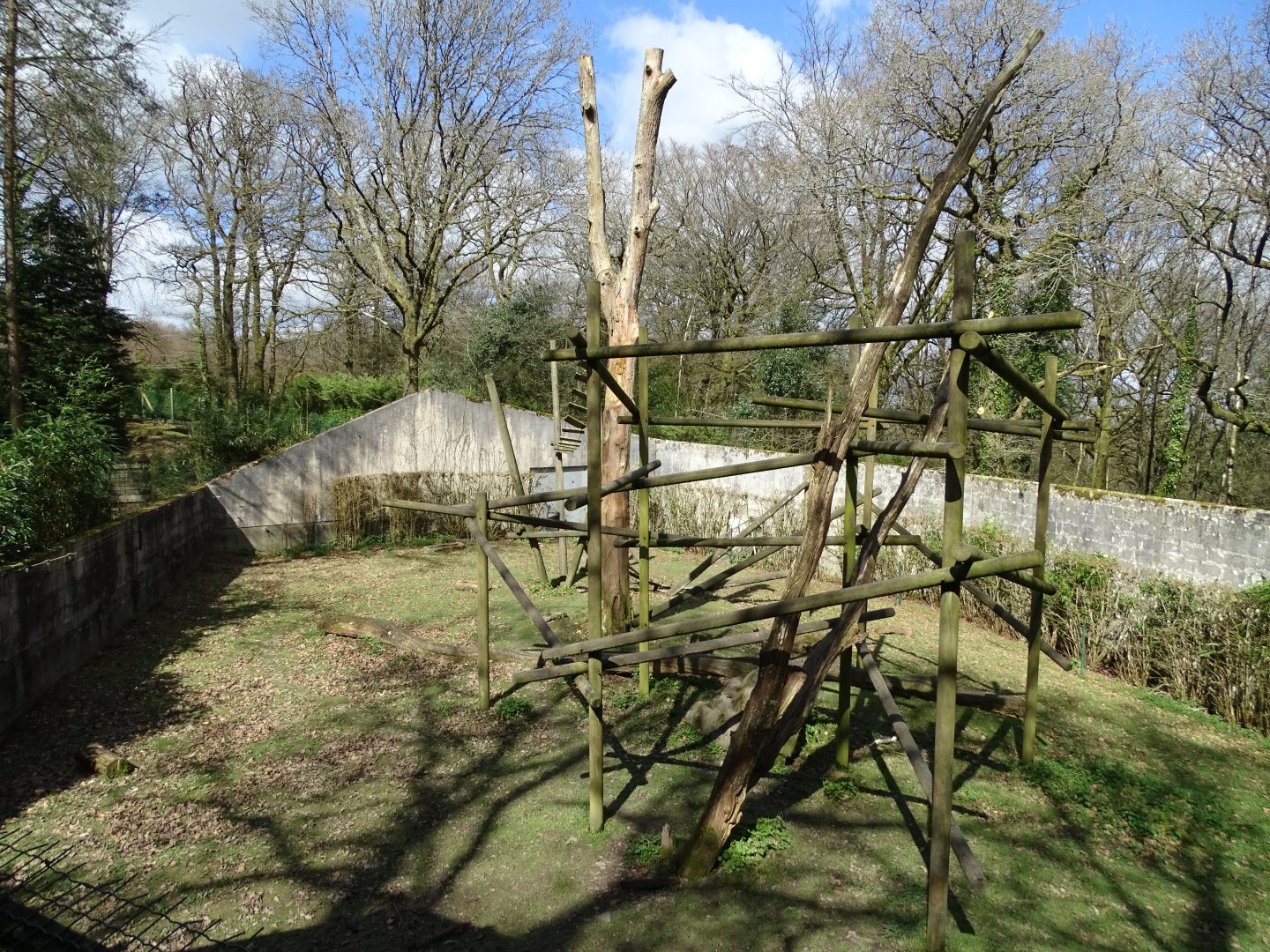 Japanese macaque (Macaca fuscata) exhibit