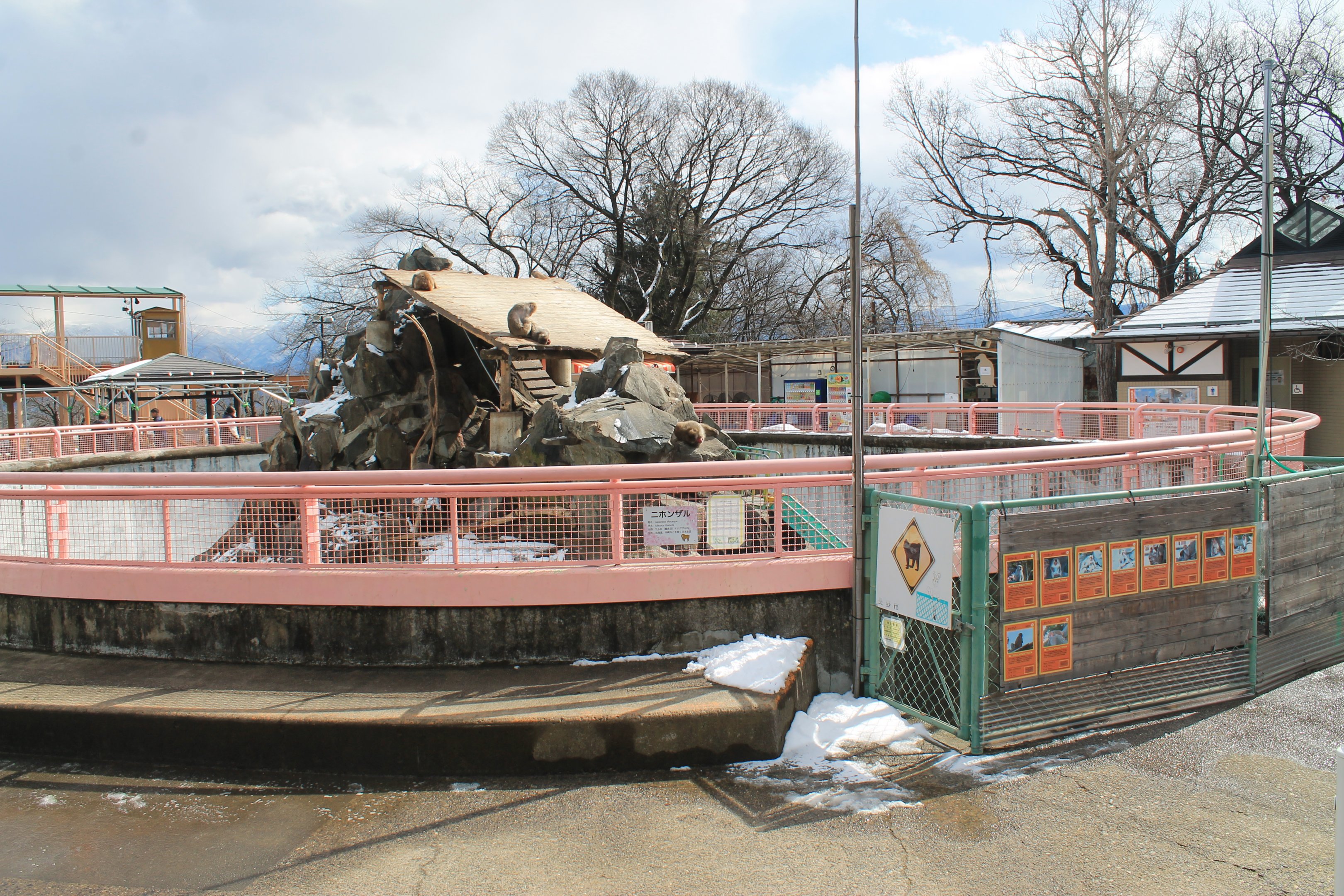 Japanese Macaque mountain, Joyama Zoo