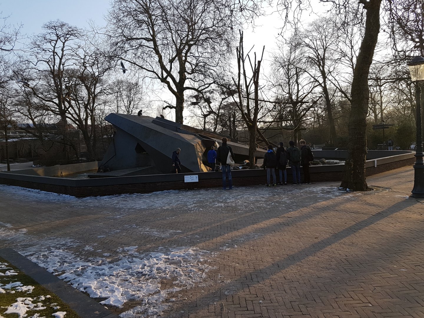Japanese macaque-rock