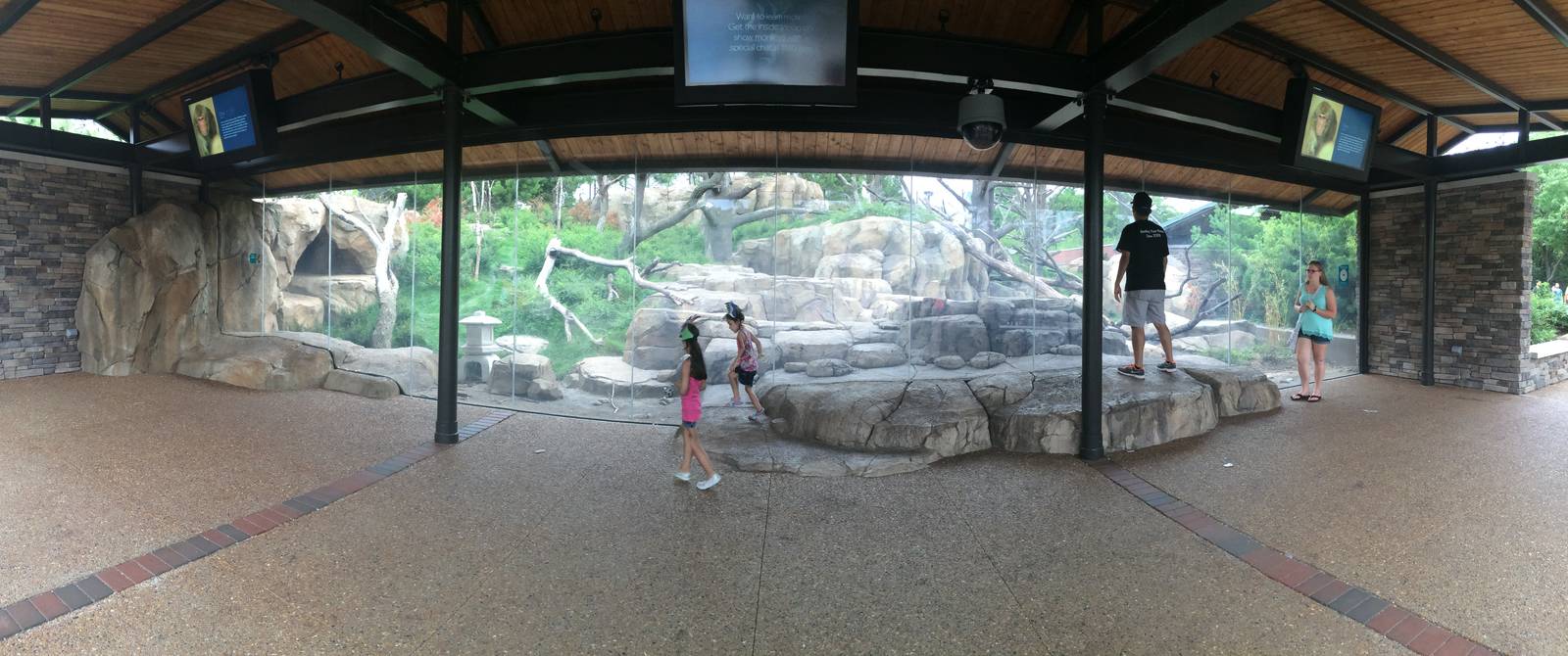 Japanese macaque viewing area