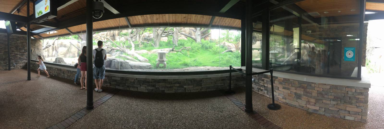 Japanese macaque viewing area