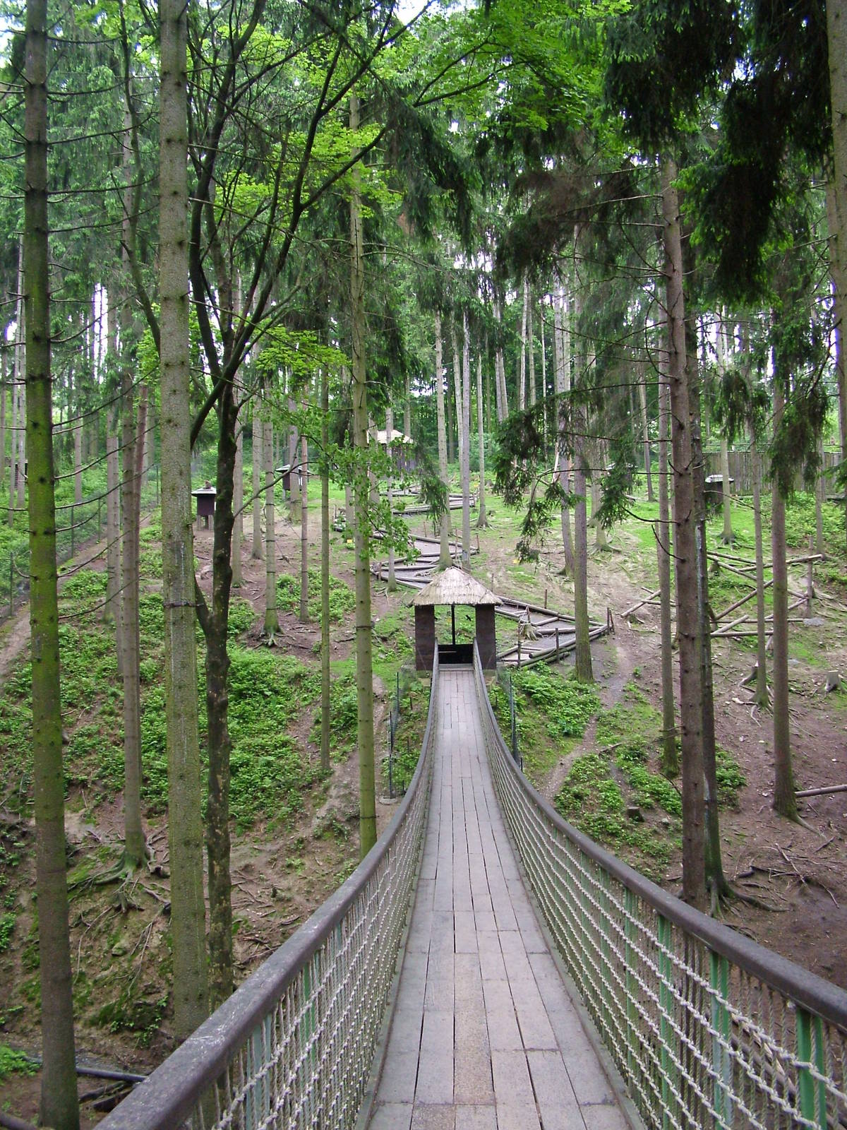 Japanese Macaque walkthrough at Olomouc 30/05/10