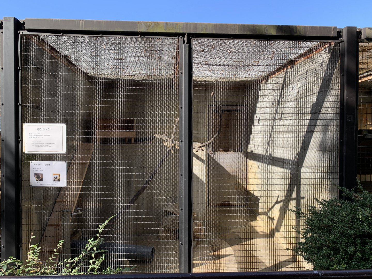 Japanese Marten Enclosure (Himeji City Zoo)