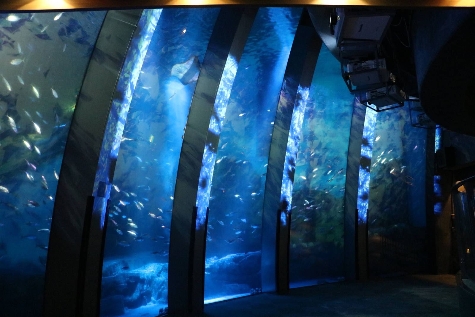 Japanese ocean tank, February 2016