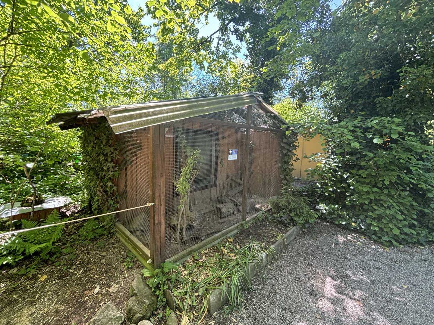 Japanese Quail Enclosure