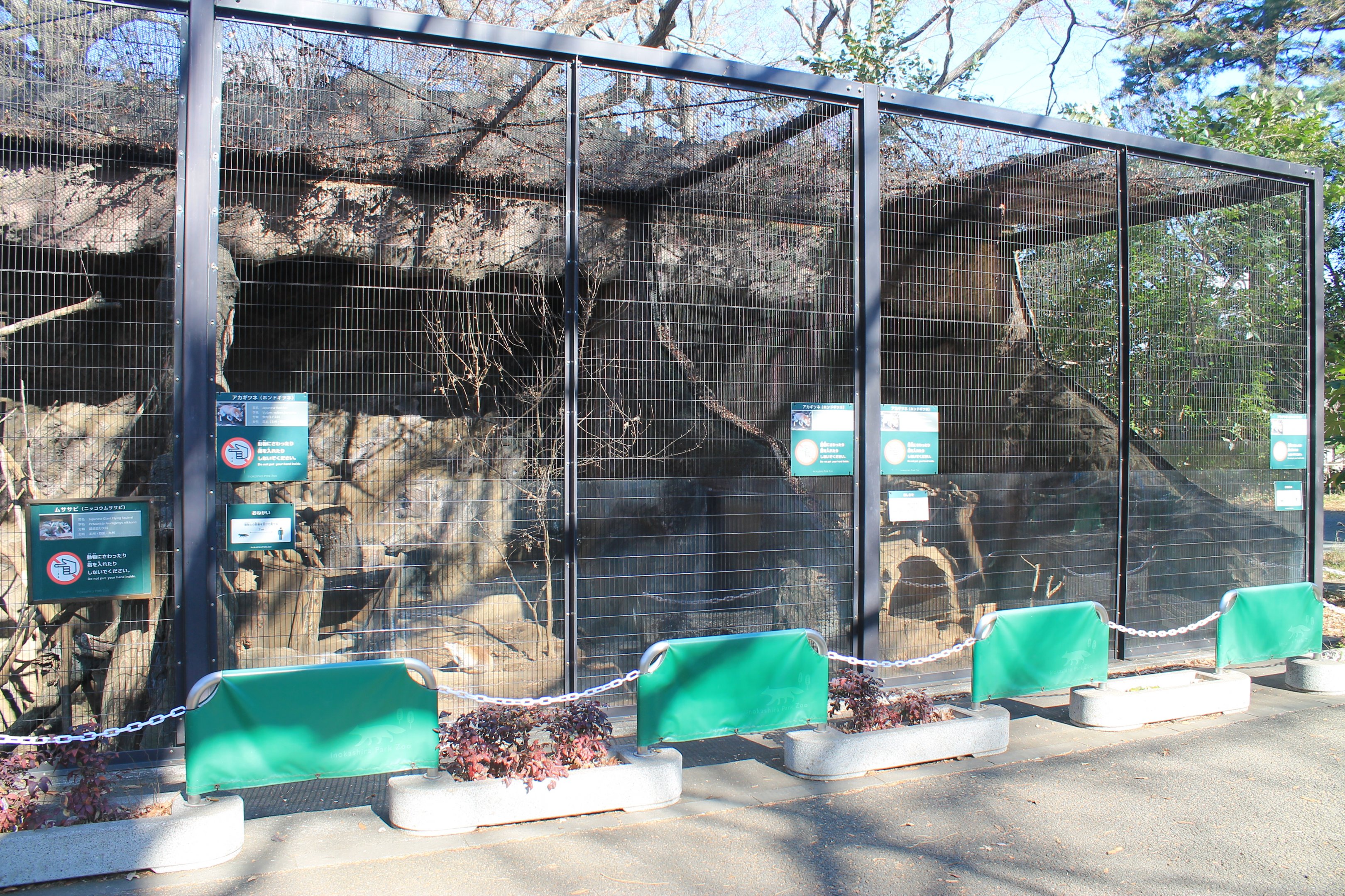 Japanese Red Fox cages