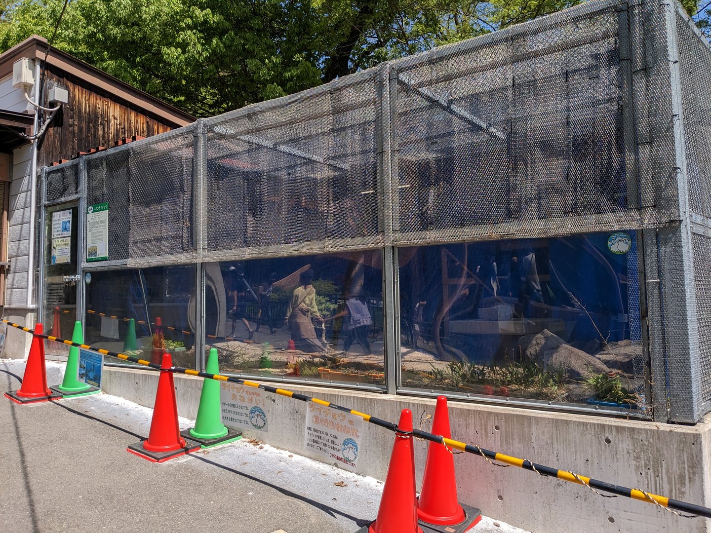 Japanese rock ptarmigan exhibit
