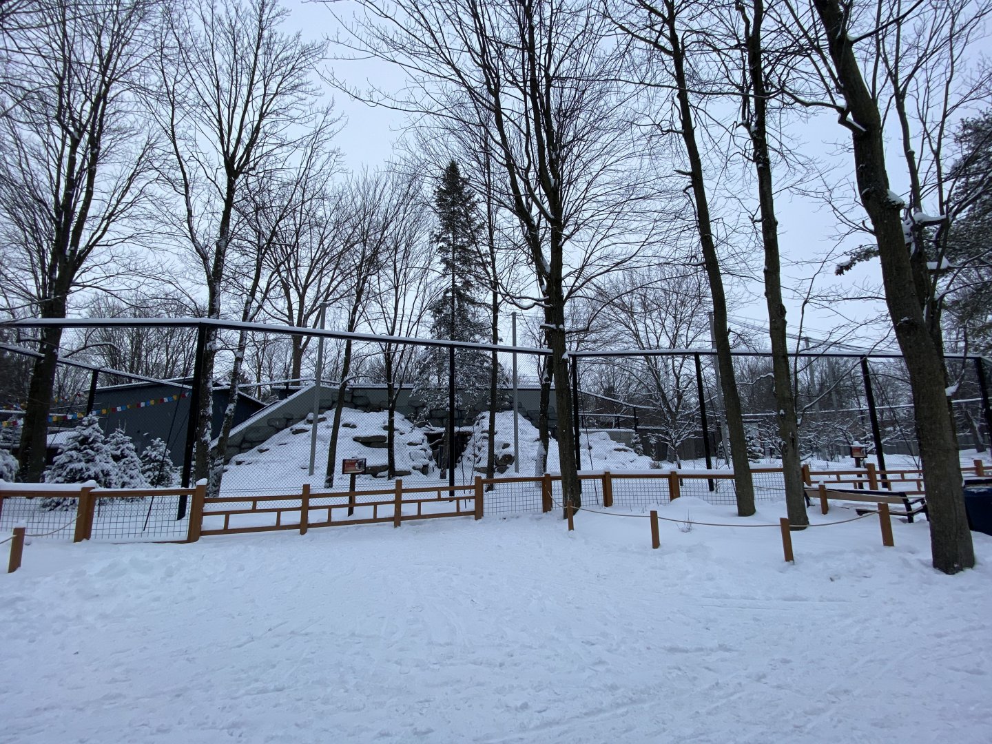 Japanese serow and red-crowned crane exhibit