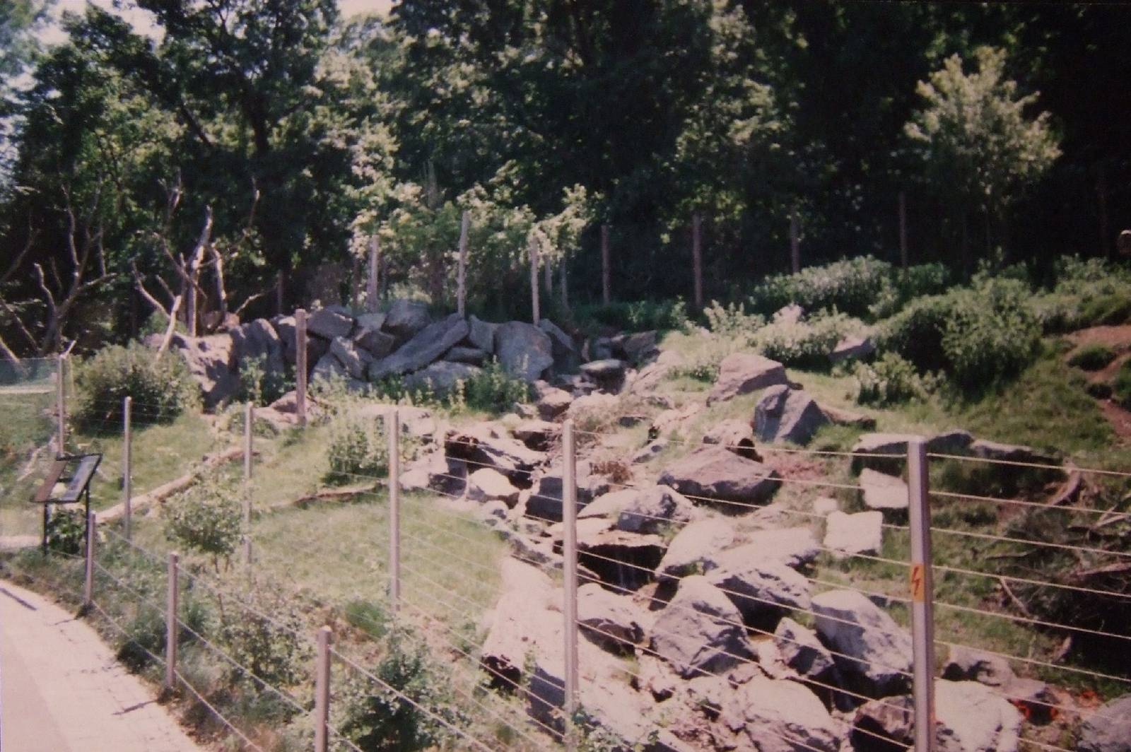 Japanese serow enclosure @ Vienna Zoo
