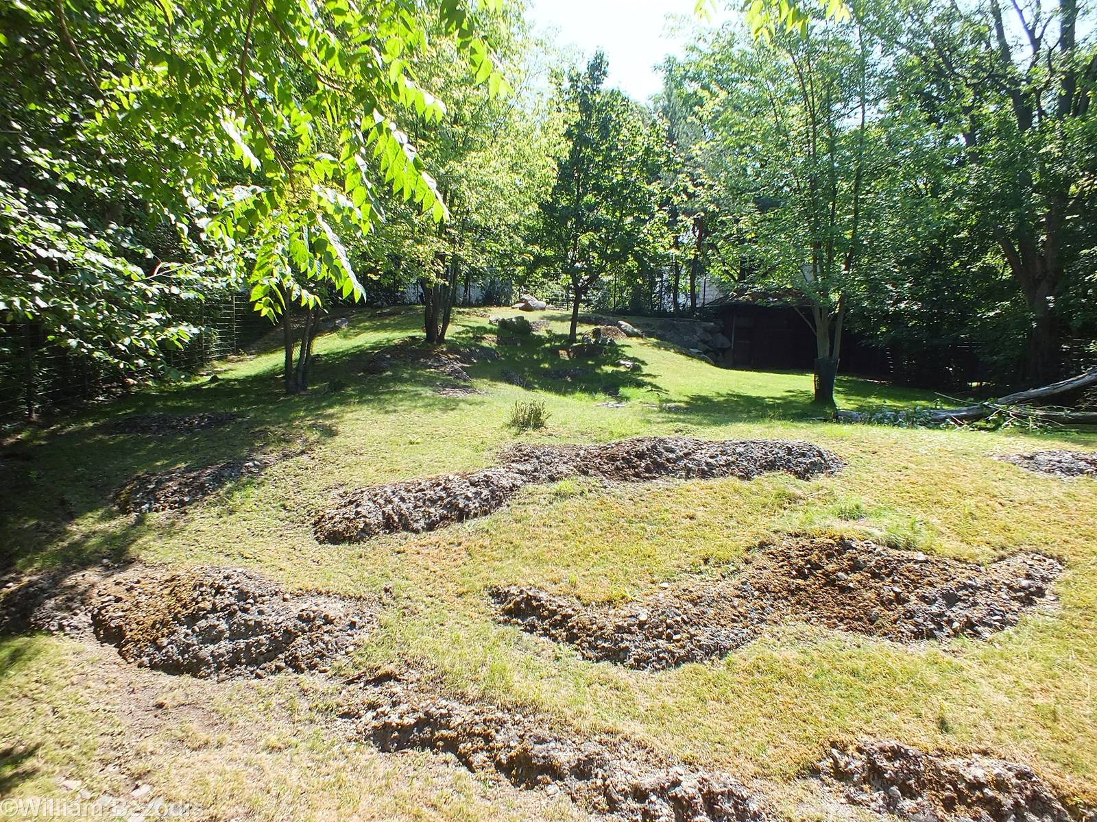 Japanese Serow Enclosure