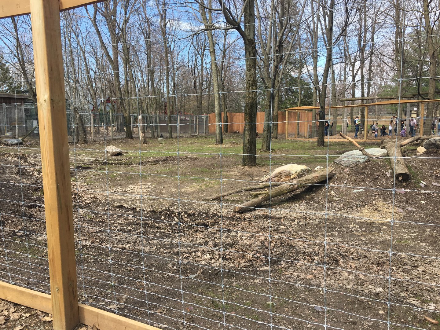 Japanese Serow Enclosure