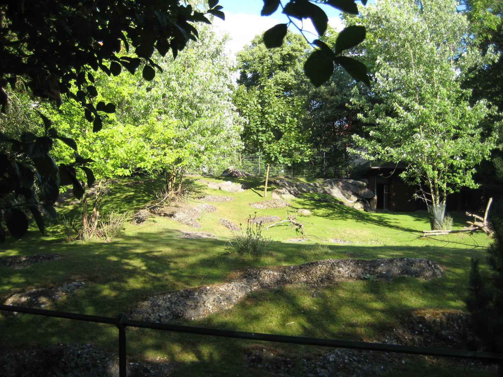 Japanese Serow exhibit