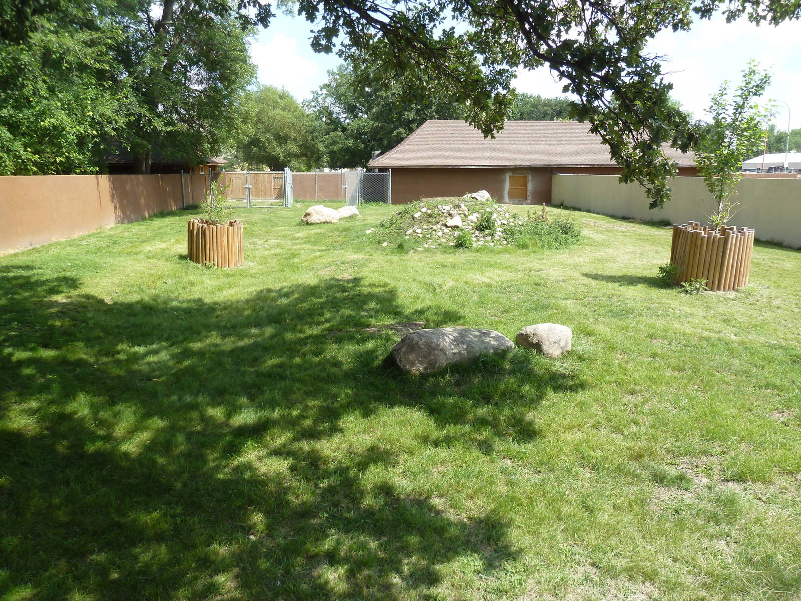 Japanese Serow Exhibit