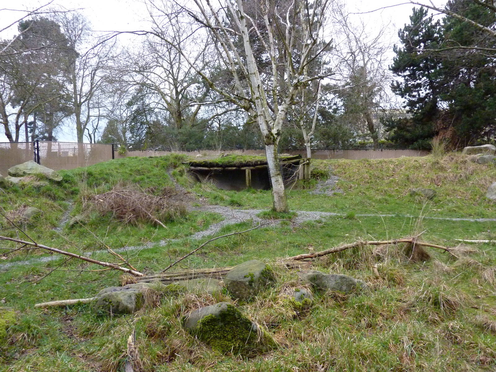 Japanese Serow Exhibit
