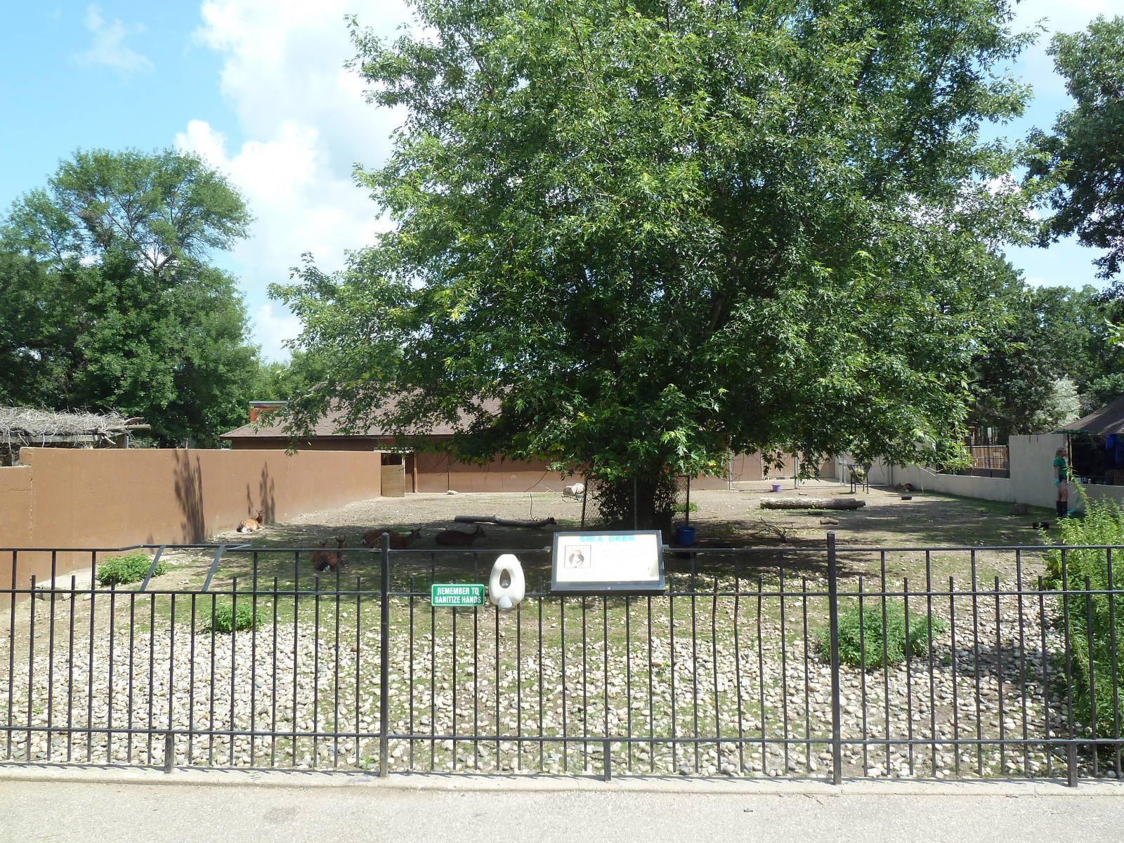 Japanese Sika Deer Exhibit