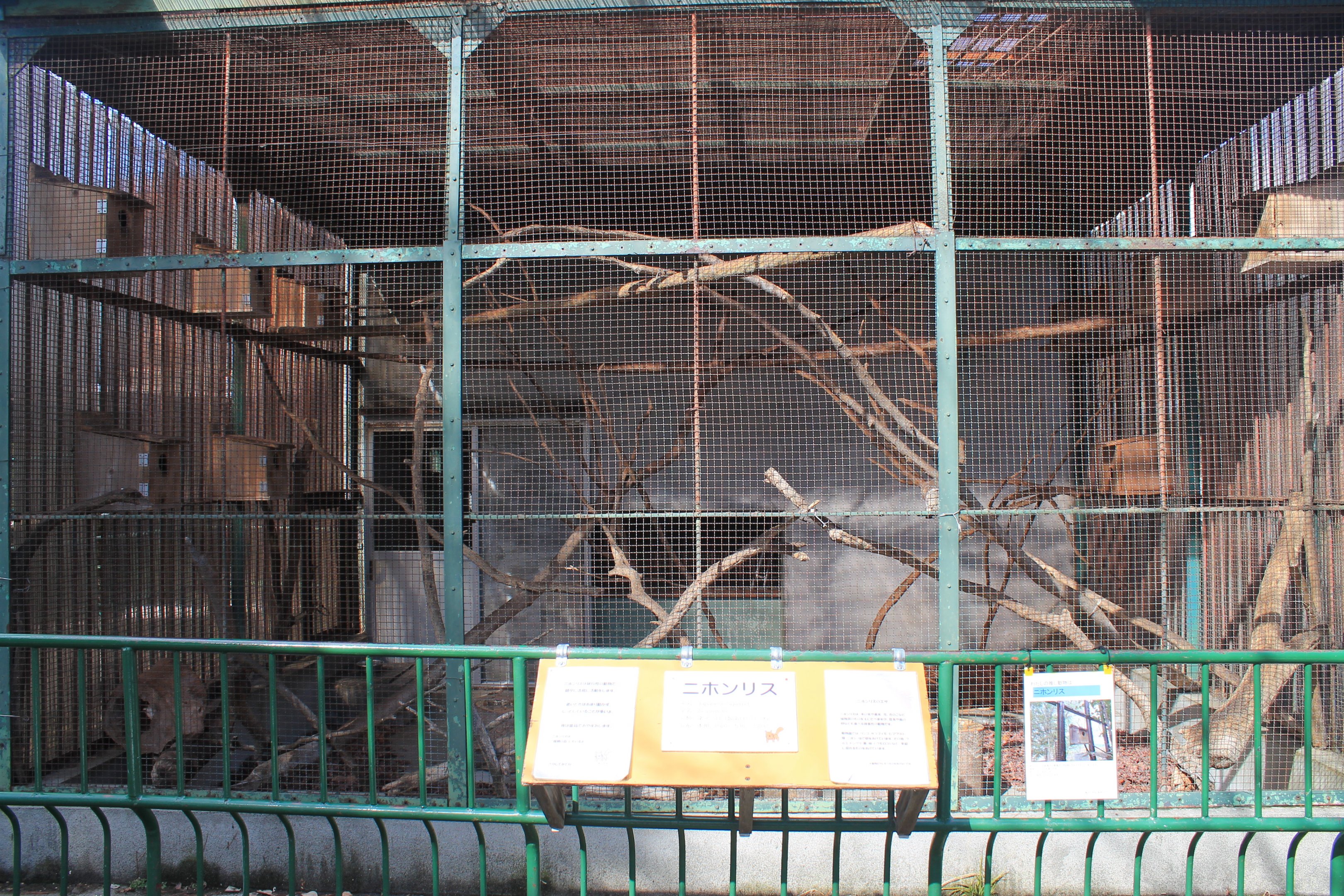 Japanese Squirrel cage, Joyama Zoo