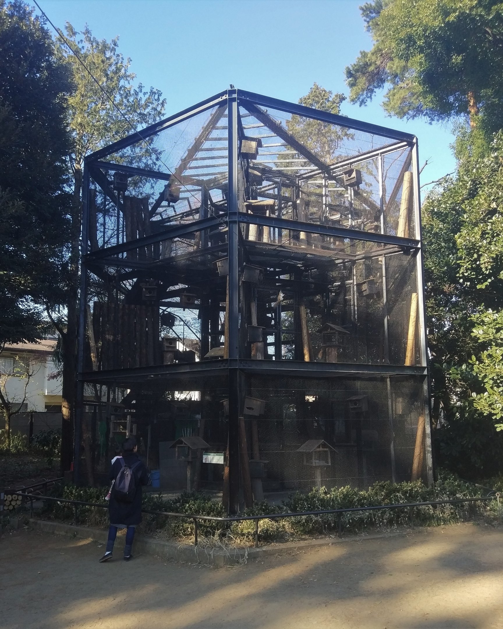 Japanese Squirrel Tower