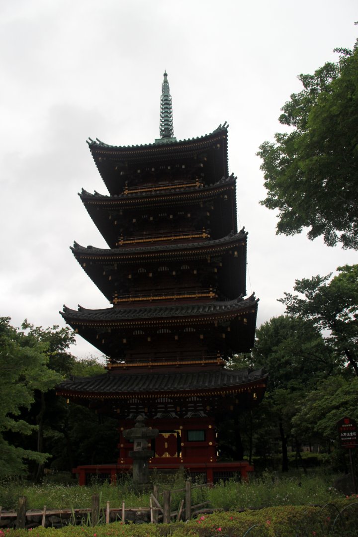 Japanese style building