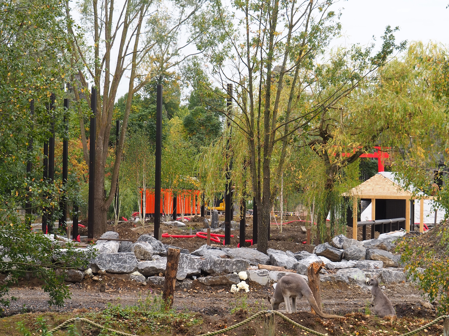 Japanese world The Land of The Rising Sun construction - Large aviary?, 2023-10-13