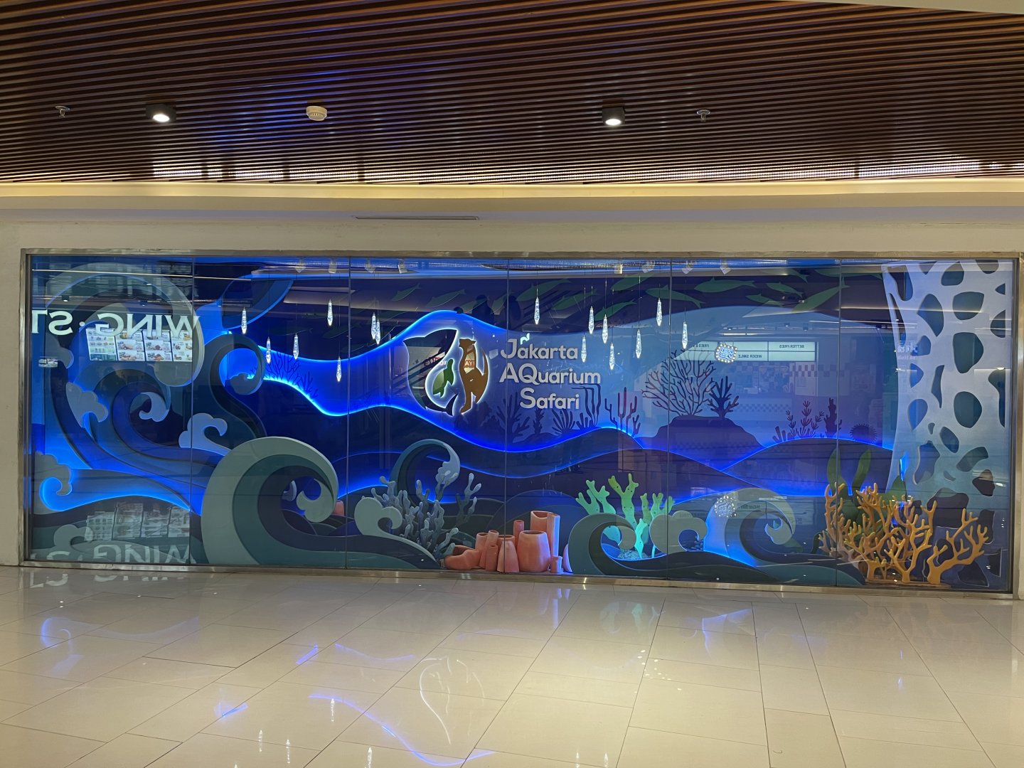 JAQS’ window display (2)