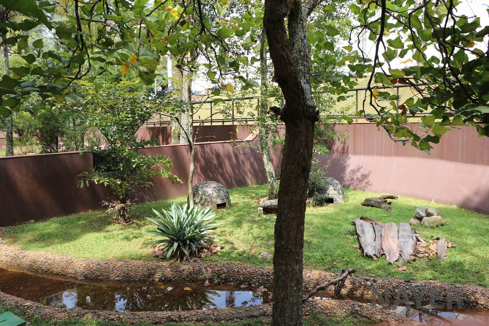 Jaracussu enclosure - Instituto Butantan, 2016