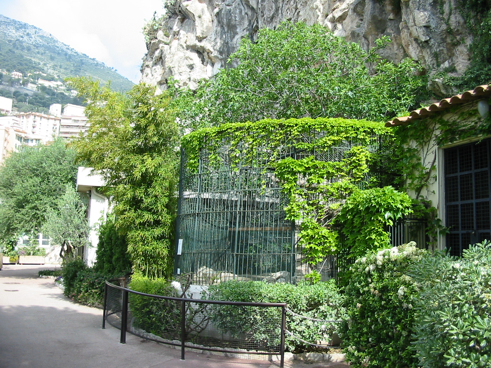 Jardin Animalier 2005 - Big cat cages