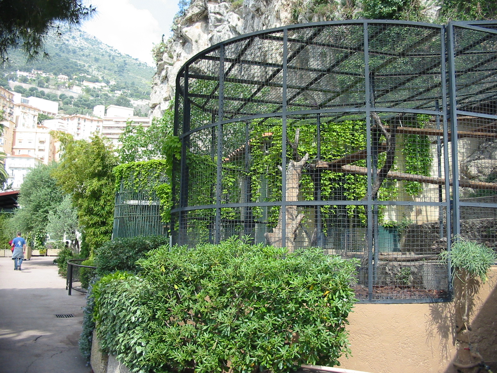 Jardin Animalier 2005 - Big cat cages