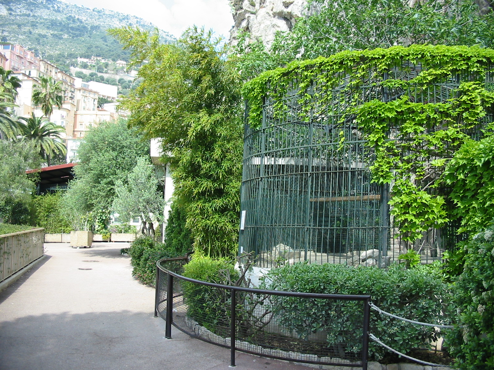 Jardin Animalier 2005 - Big cat cages