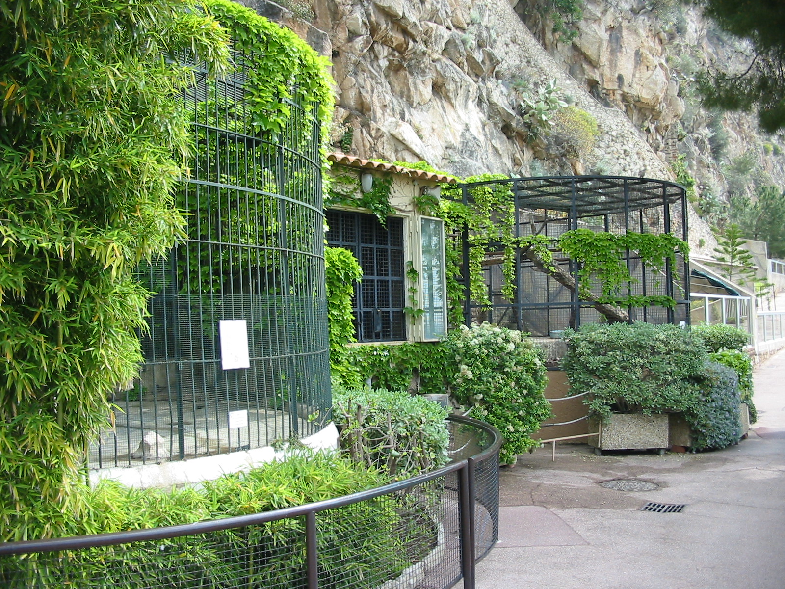Jardin Animalier 2005 - Big cat cages