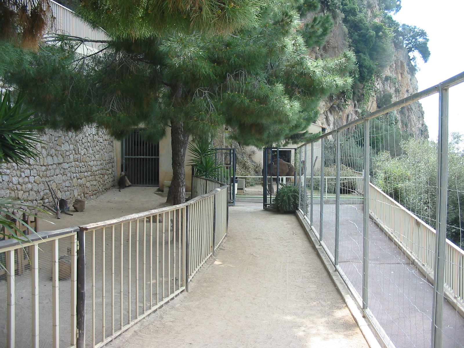 Jardin Animalier 2005 - Enclosures for Wallaby and Arabian Camel