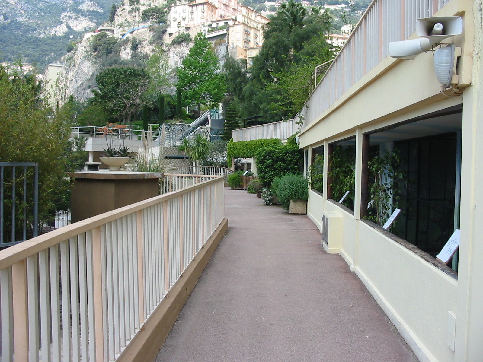 Jardin Animalier 2005 - General menagerie scene