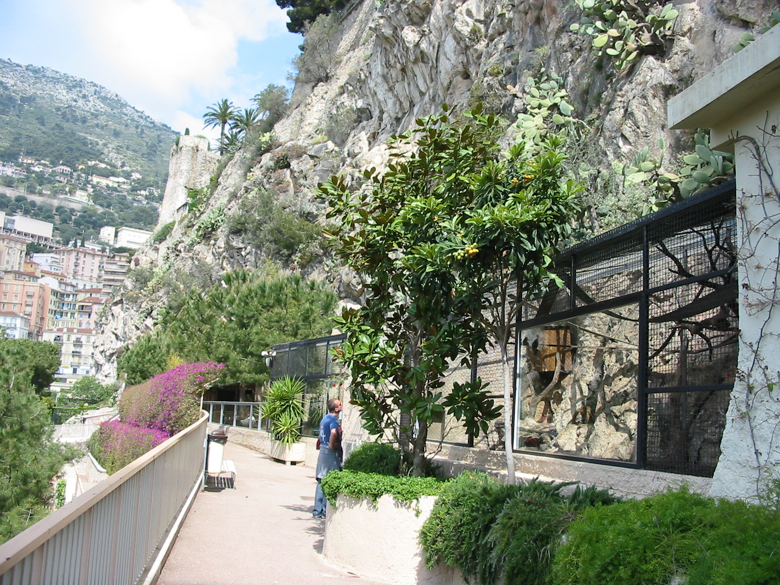 Jardin Animalier 2005 - General menagerie scene