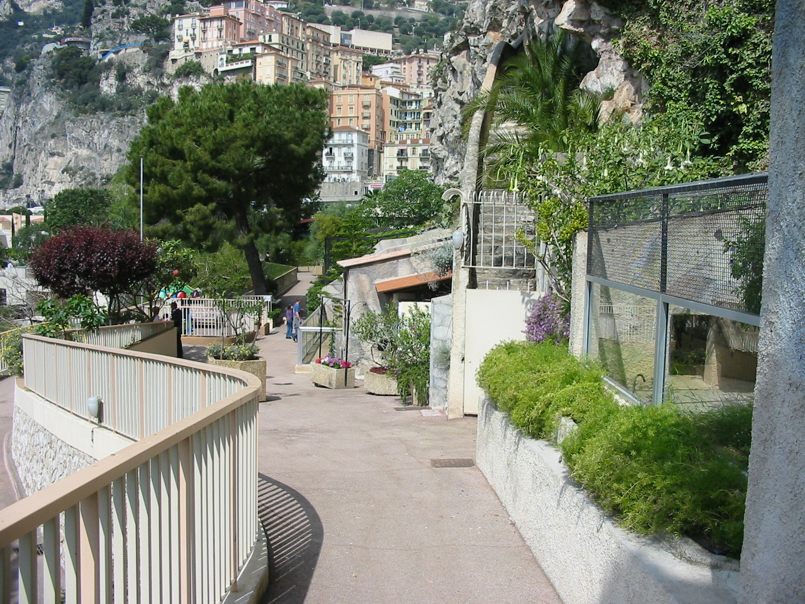 Jardin Animalier 2005 - General menagerie scene