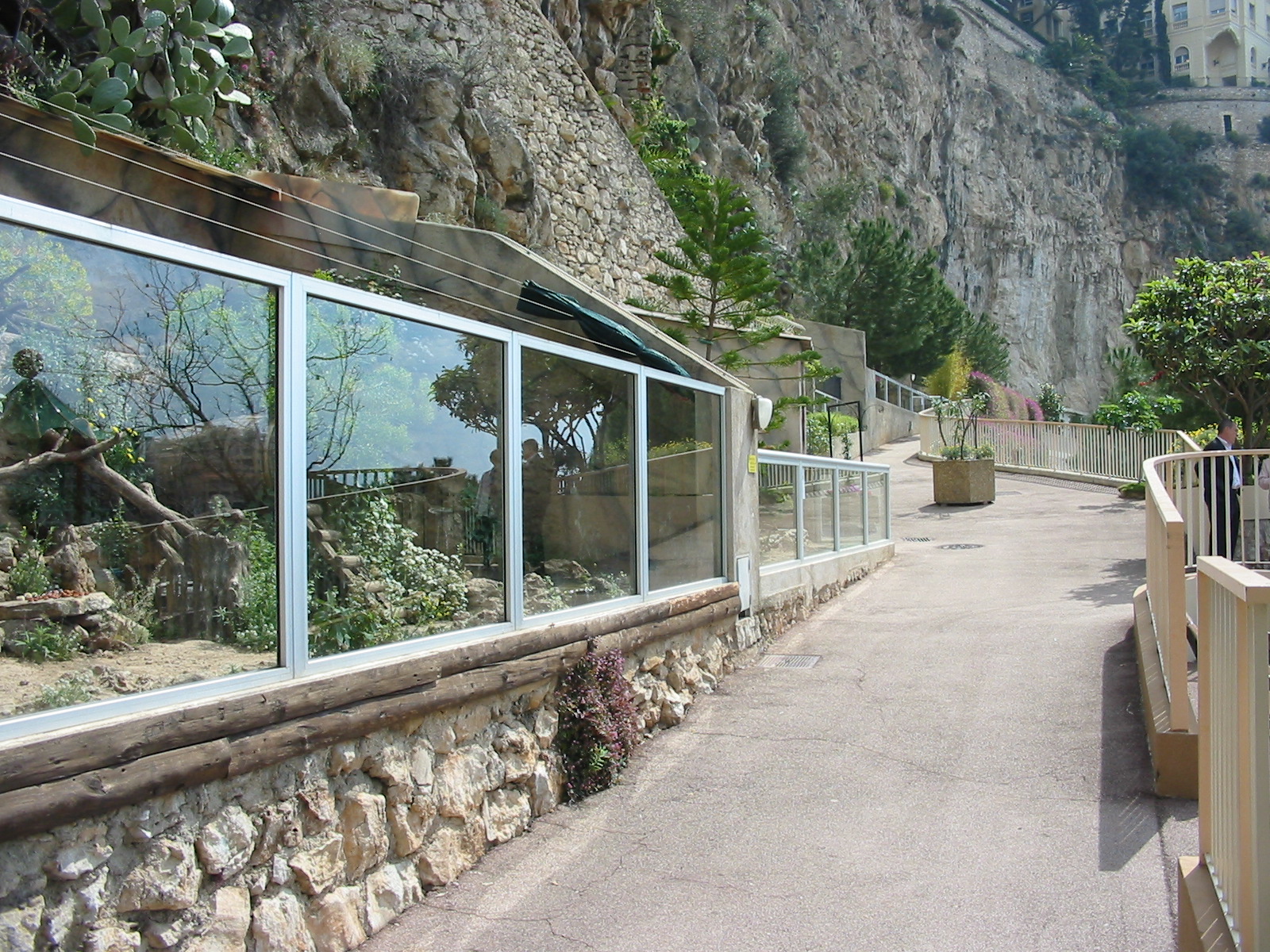 Jardin Animalier 2005 - General menagerie scene