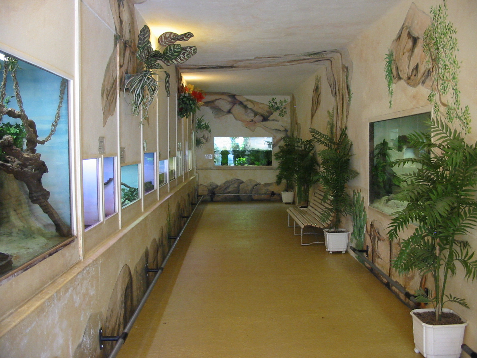 Jardin Animalier 2005 - Inside the Vivarium
