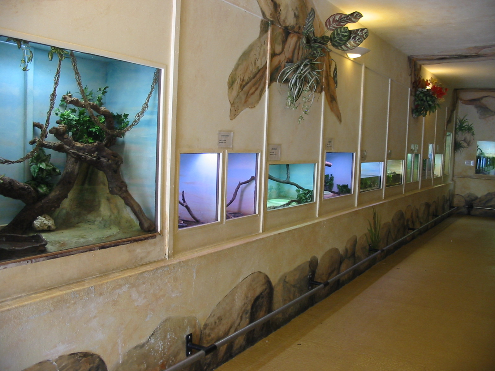 Jardin Animalier 2005 - Inside the Vivarium