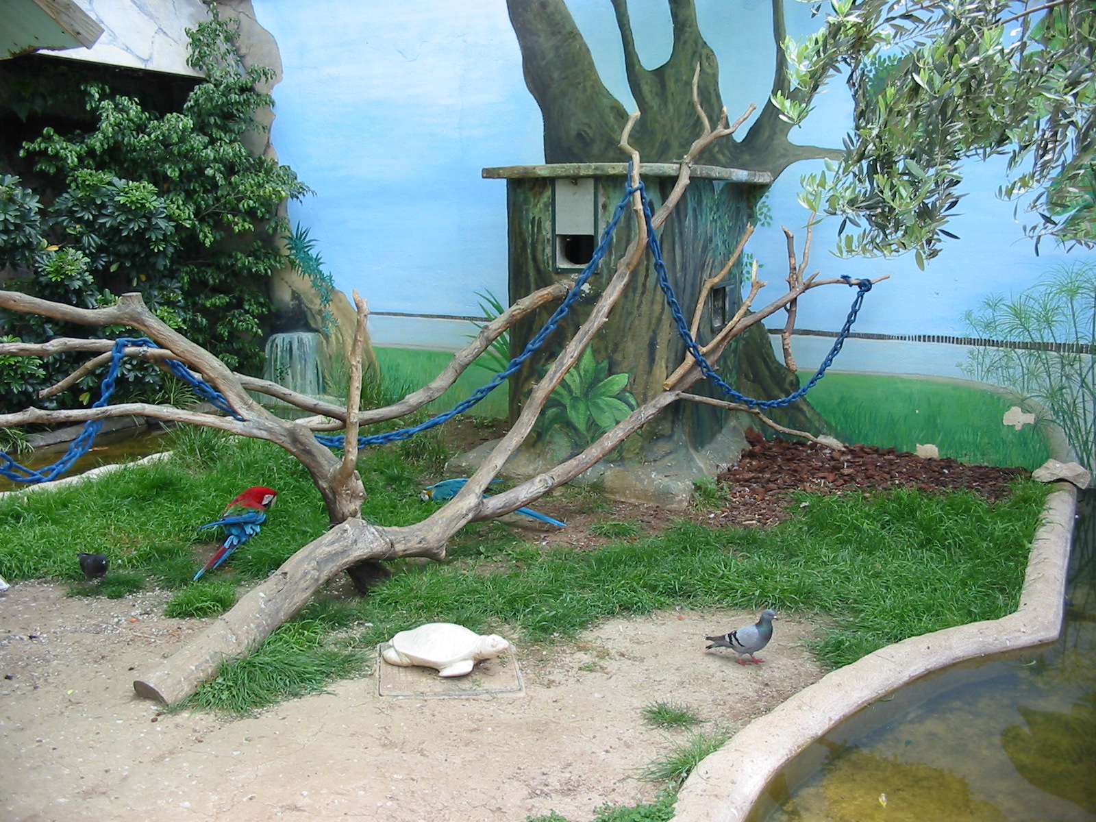 Jardin Animalier 2005 - Macaw exhibit outside the Vivarium