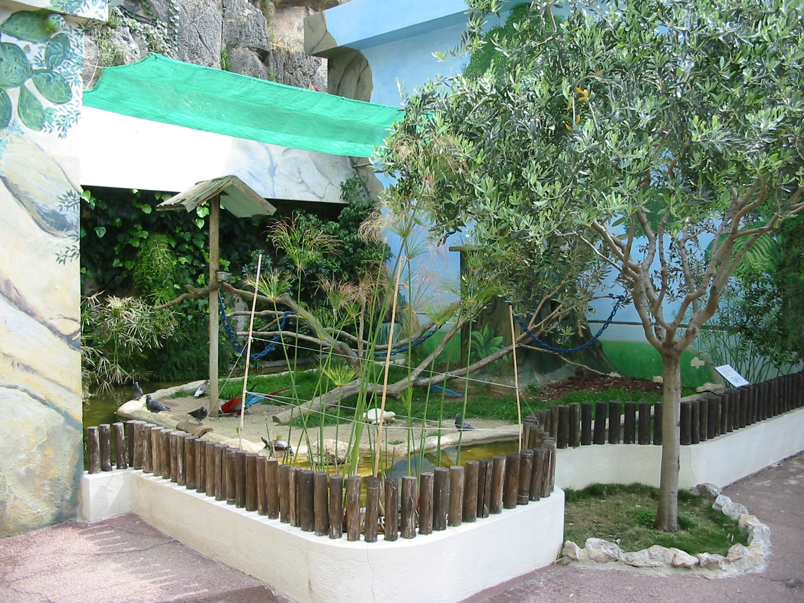 Jardin Animalier 2005 - Macaw exhibit outside the Vivarium