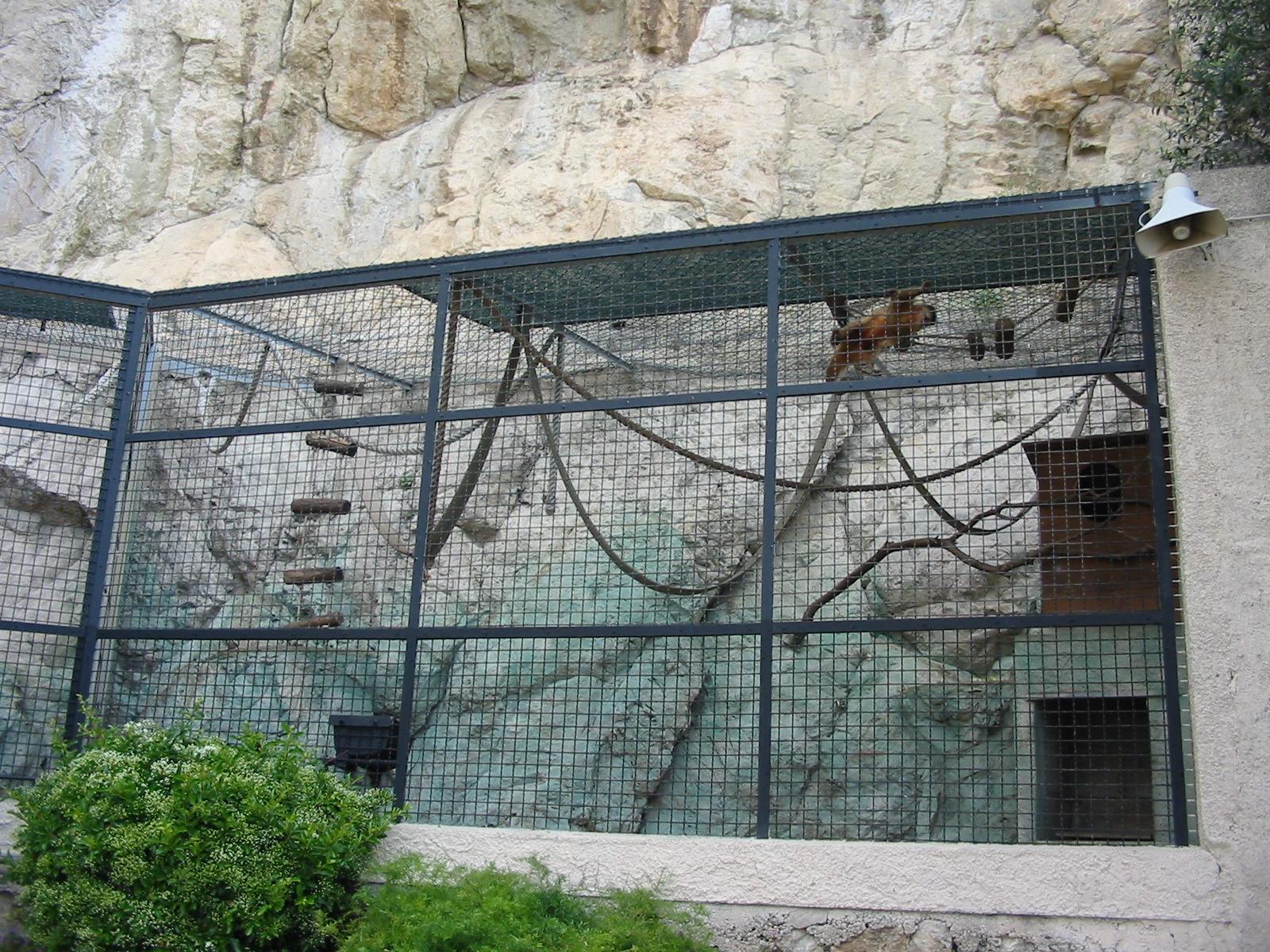 Jardin Animalier 2005 - Monkey cage