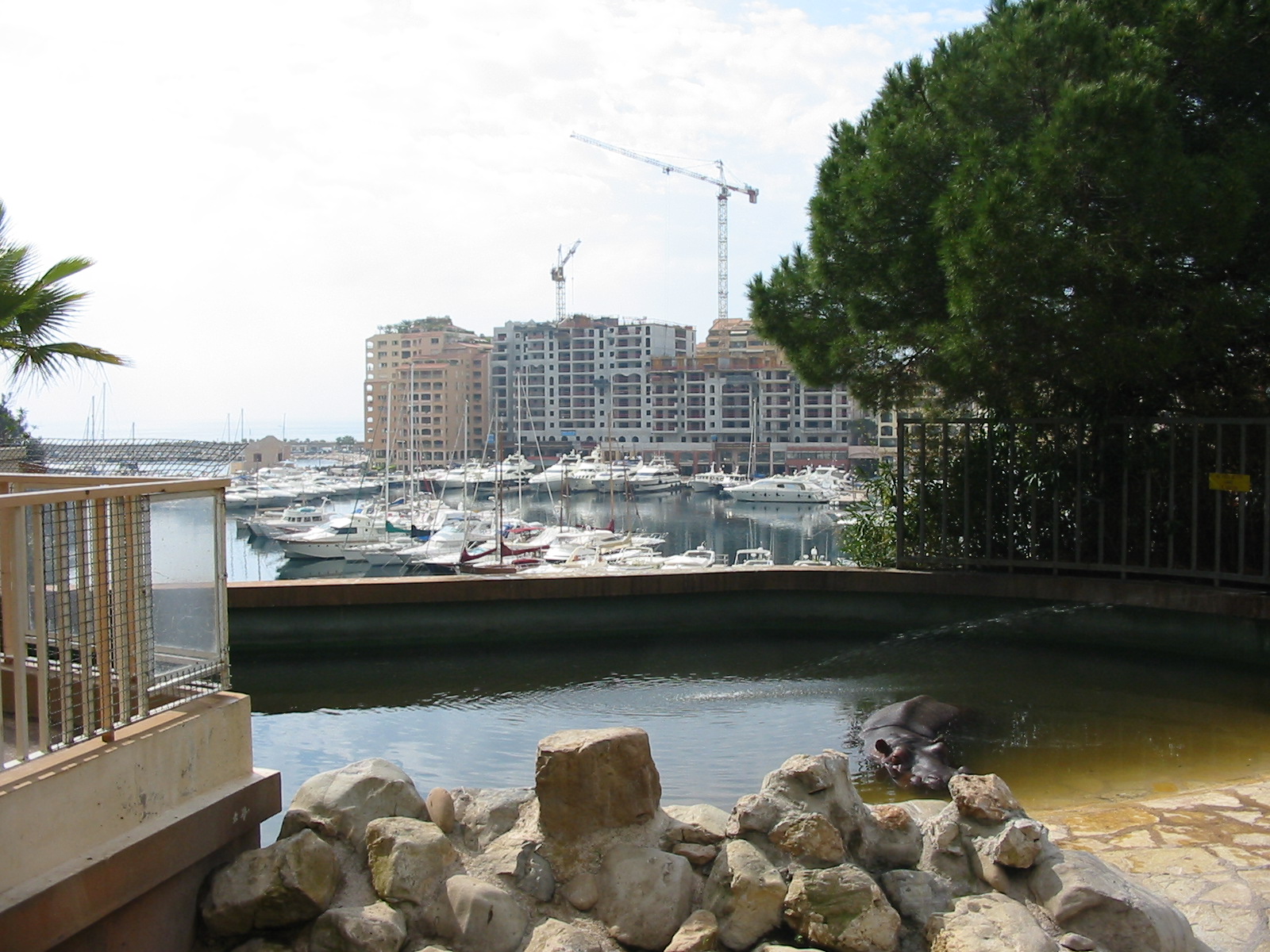 Jardin Animalier 2005 - Part of the tiny Hippopotamus exhibit