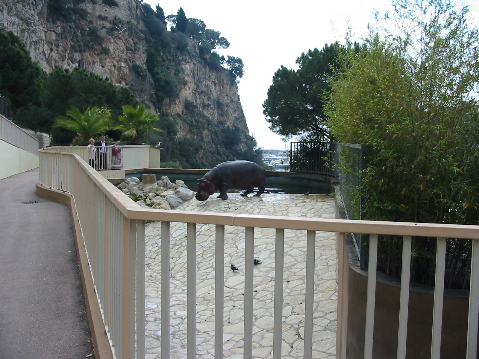 Jardin Animalier 2005 - Part of the tiny Hippopotamus exhibit