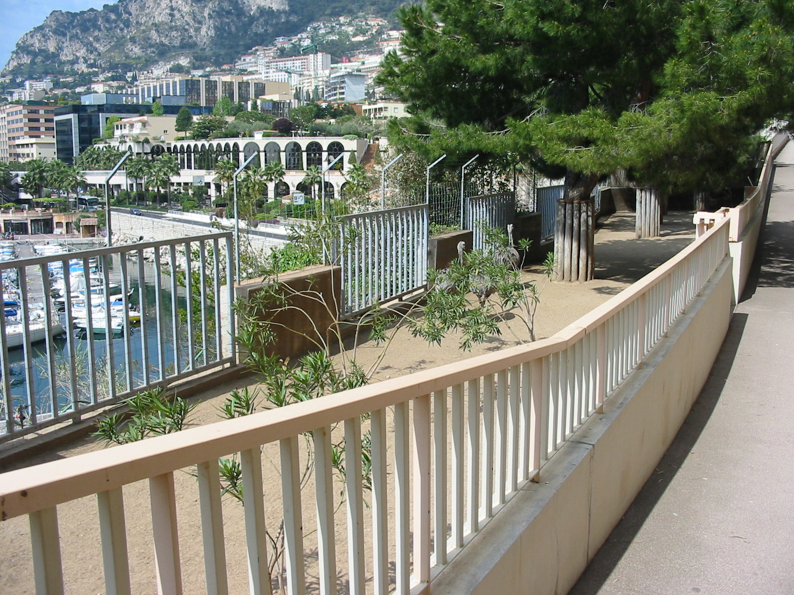 Jardin Animalier 2005 - Pathway and Nandu exhibit