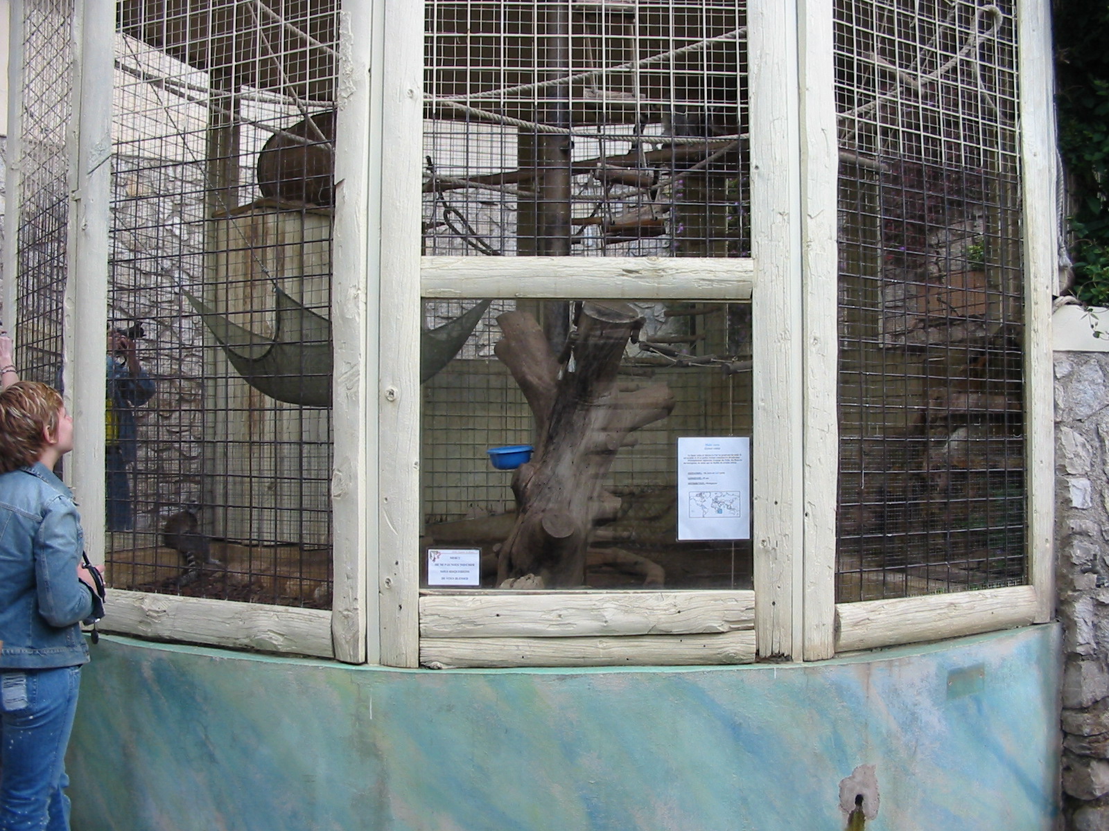 Jardin Animalier 2005 - Ringtailed Lemur cage