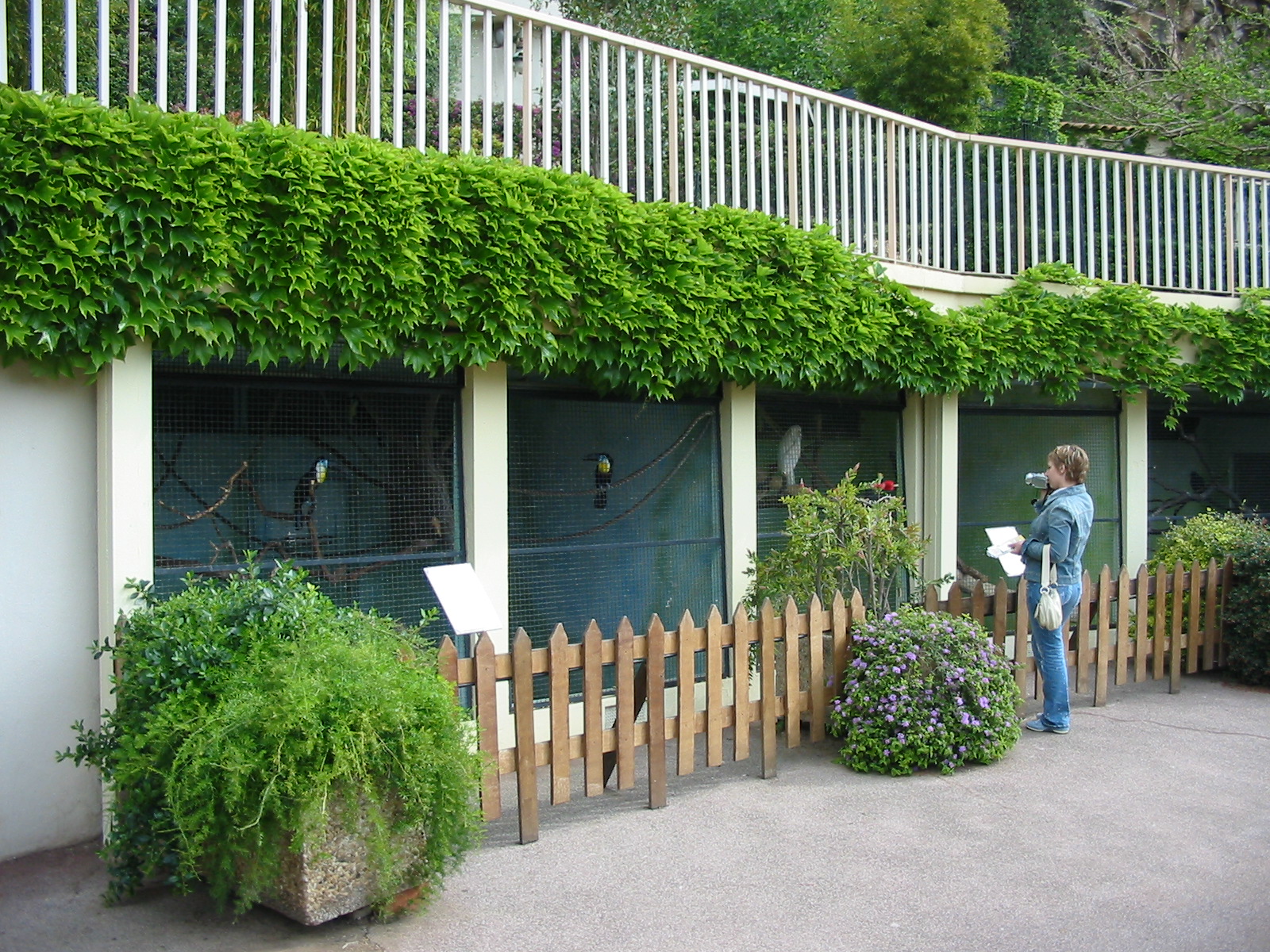 Jardin Animalier 2005 - Toucan cages
