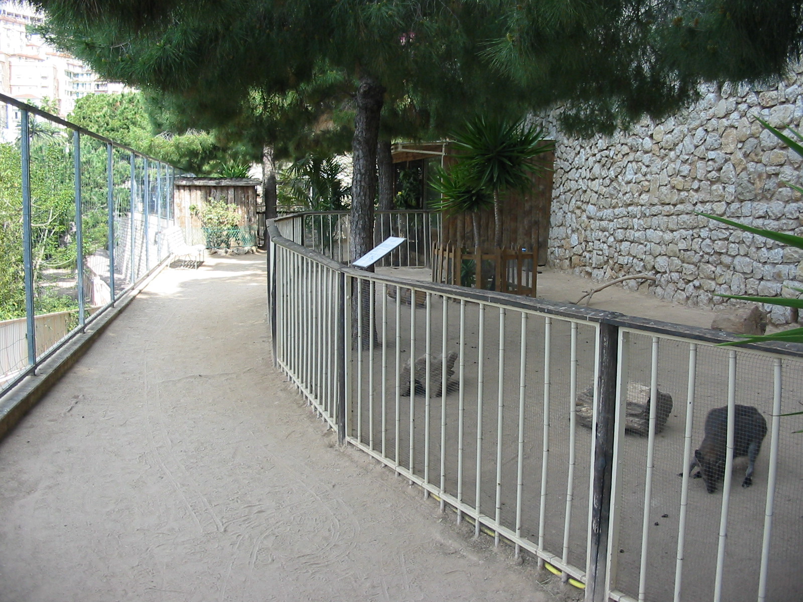 Jardin Animalier 2005 - Wallaby enclosure