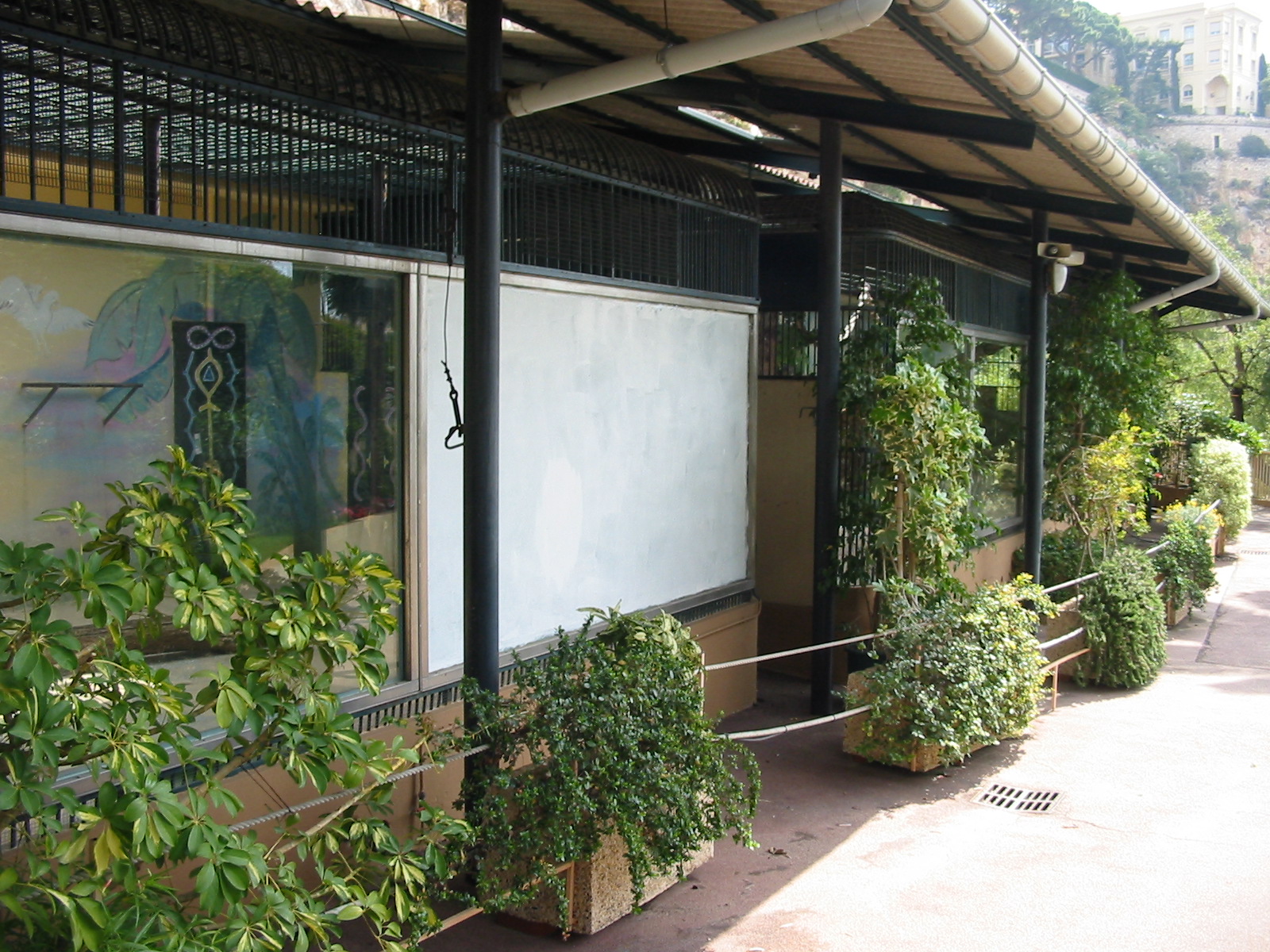 Jardin Animalier 2005 - White Tiger cage