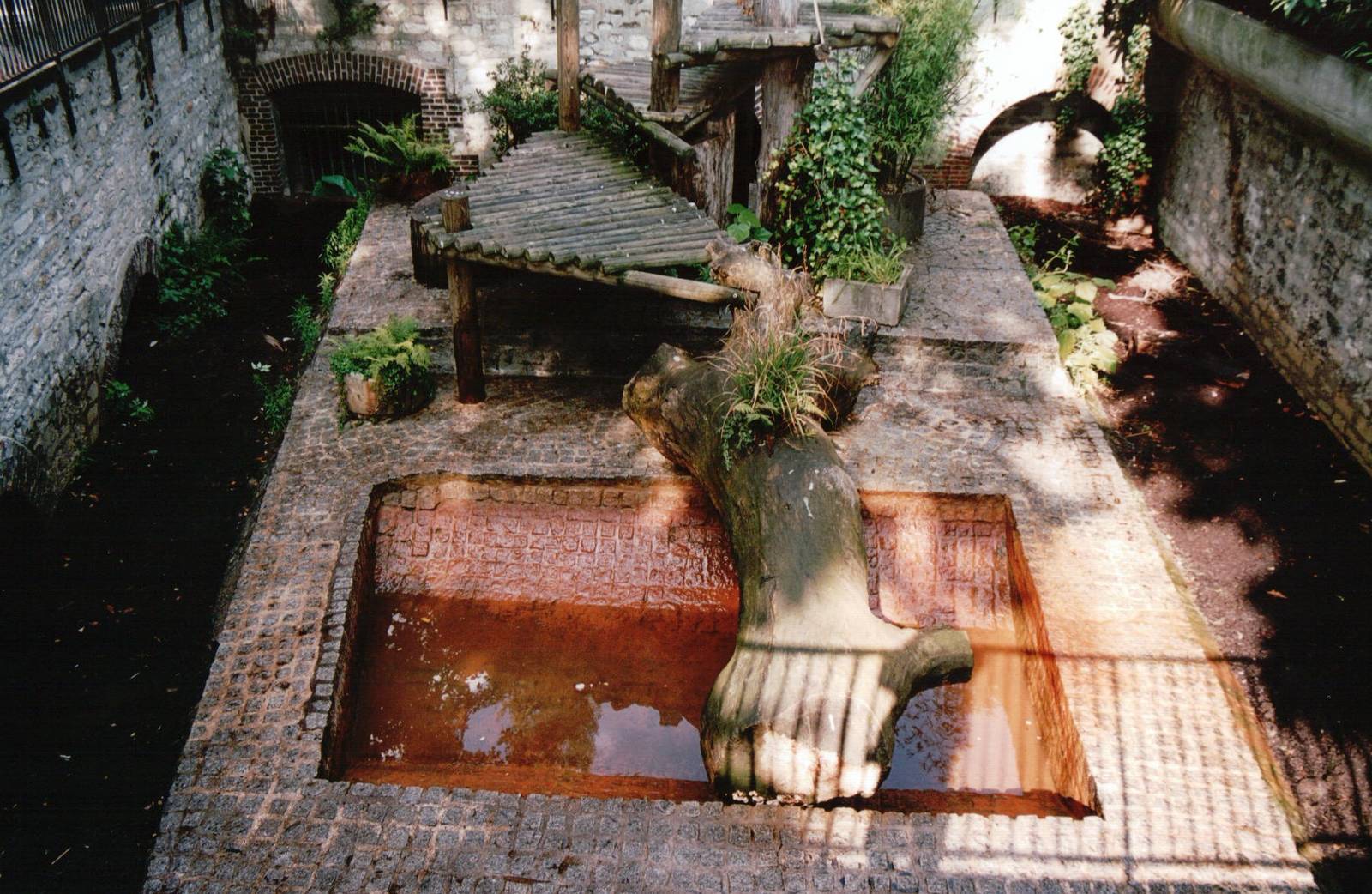 Jardin des Plantes 2002 - Brown Bear pit