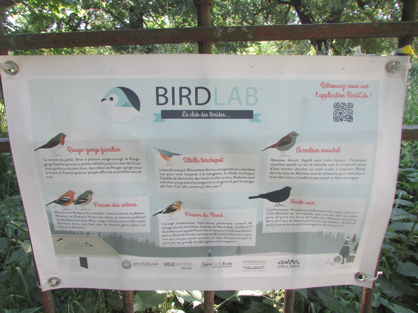 Jardin des Plantes de Paris - Bird species