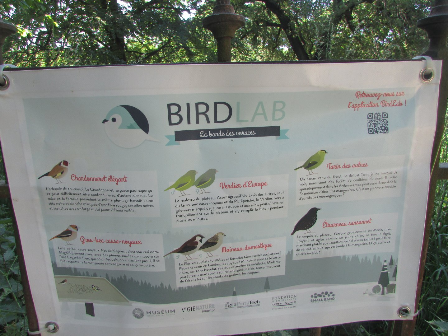 Jardin des Plantes de Paris - Bird species