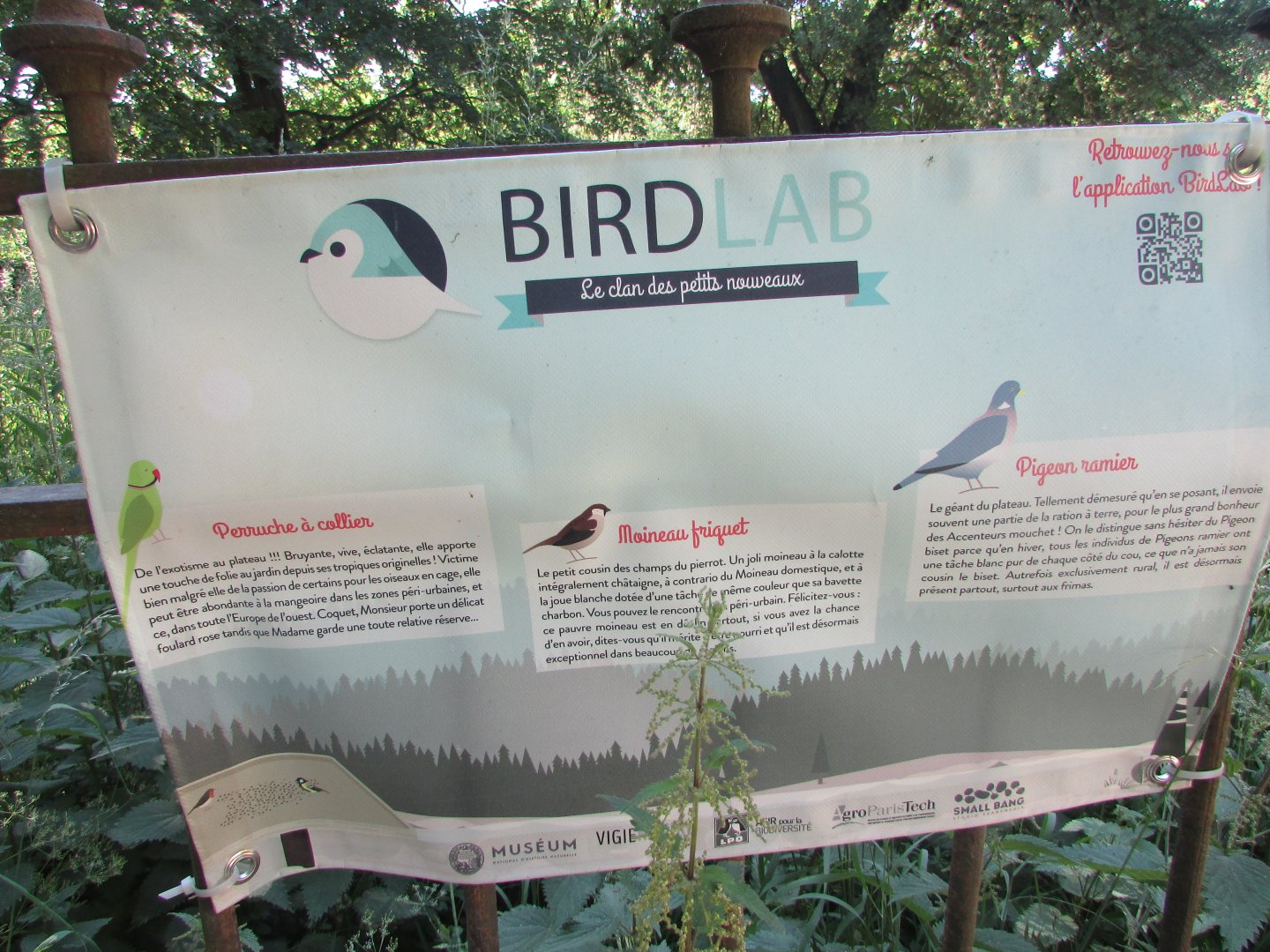 Jardin des Plantes de Paris - Bird species